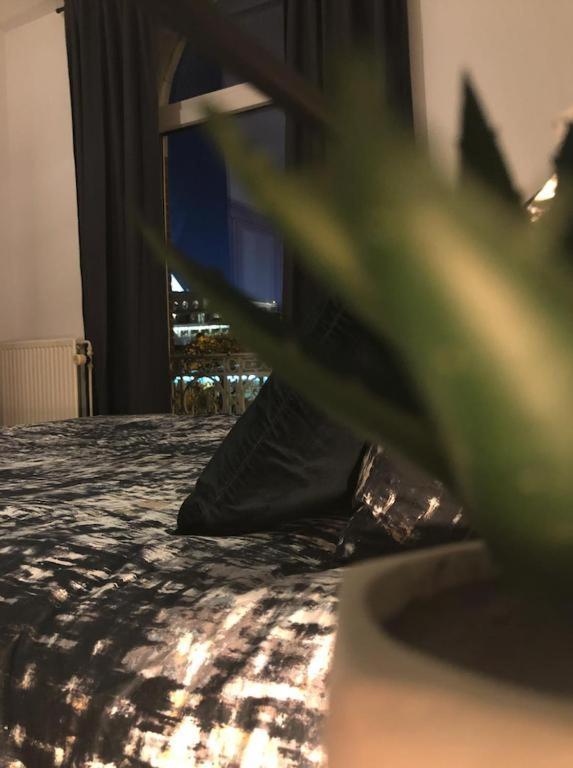 Suikerrui 2 Lägenhet Antwerpen Exteriör bild
